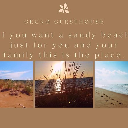 Gecko Guesthouse Айос-Николаос Экстерьер фото
